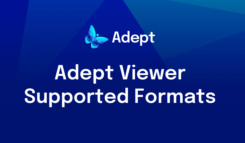 Adept Viewer Supported Formats